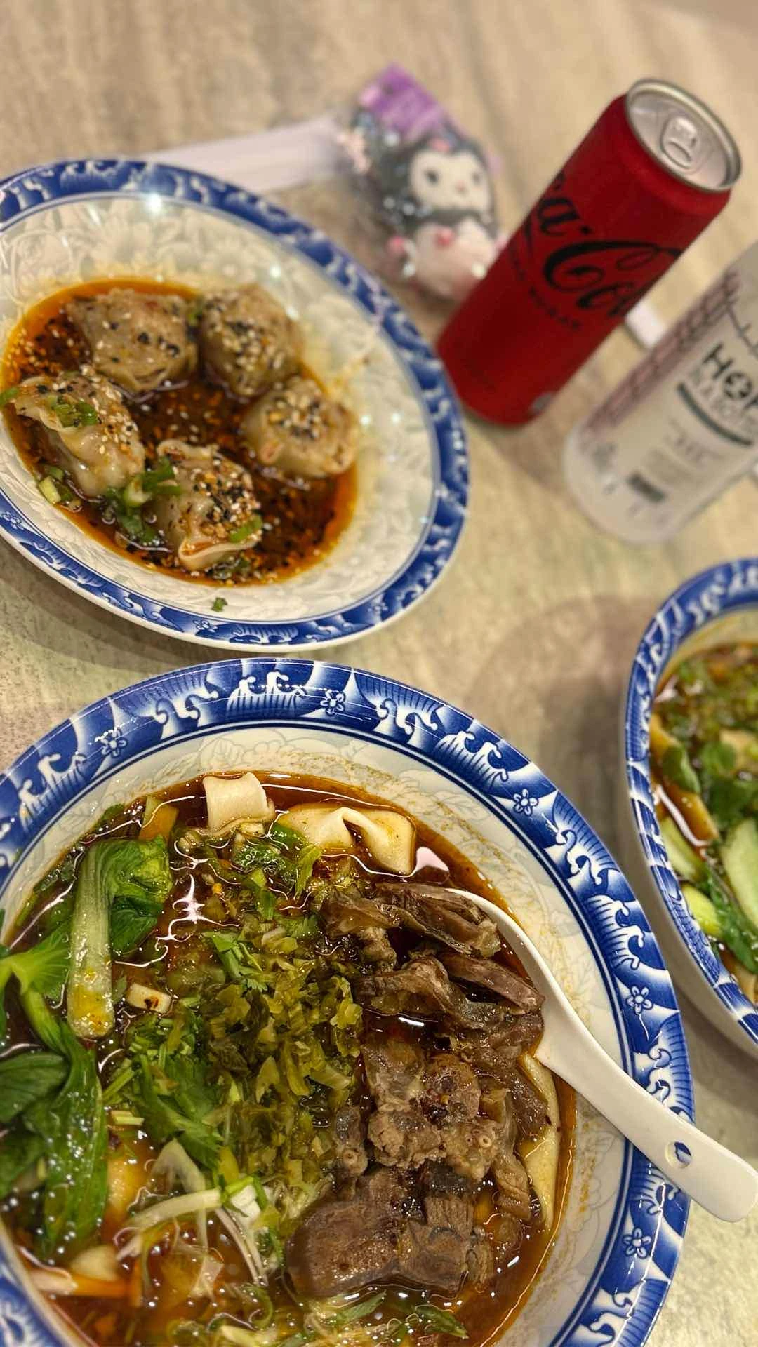 taiwanese beef noodle soup + shrimp and pork dumplings 