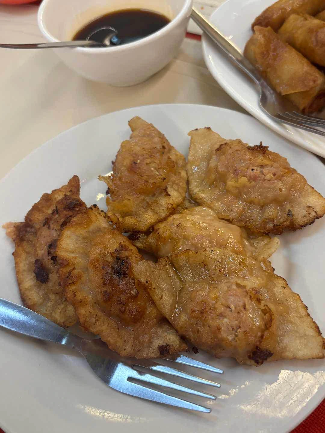 fried dumplings