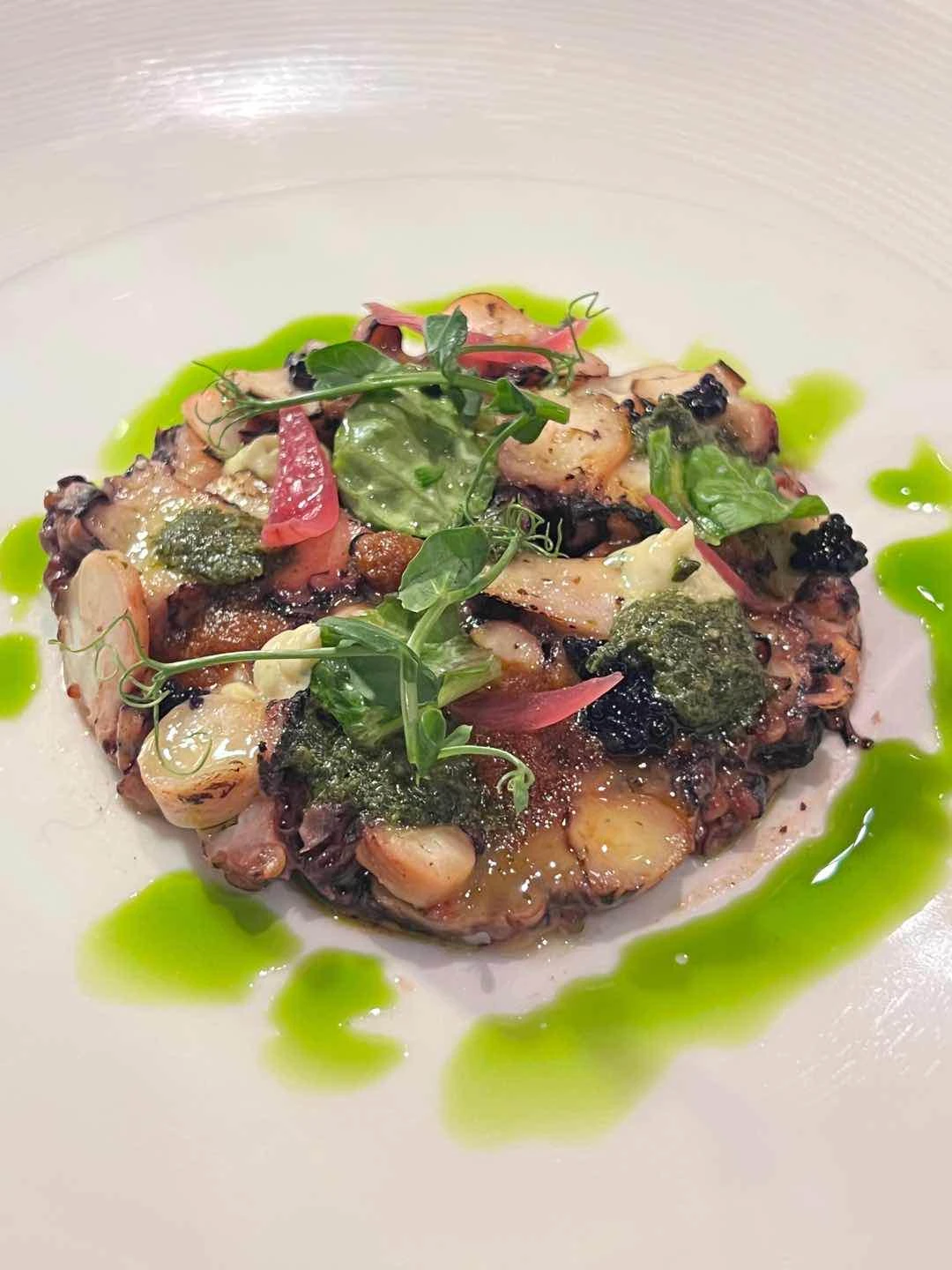 Octopus 