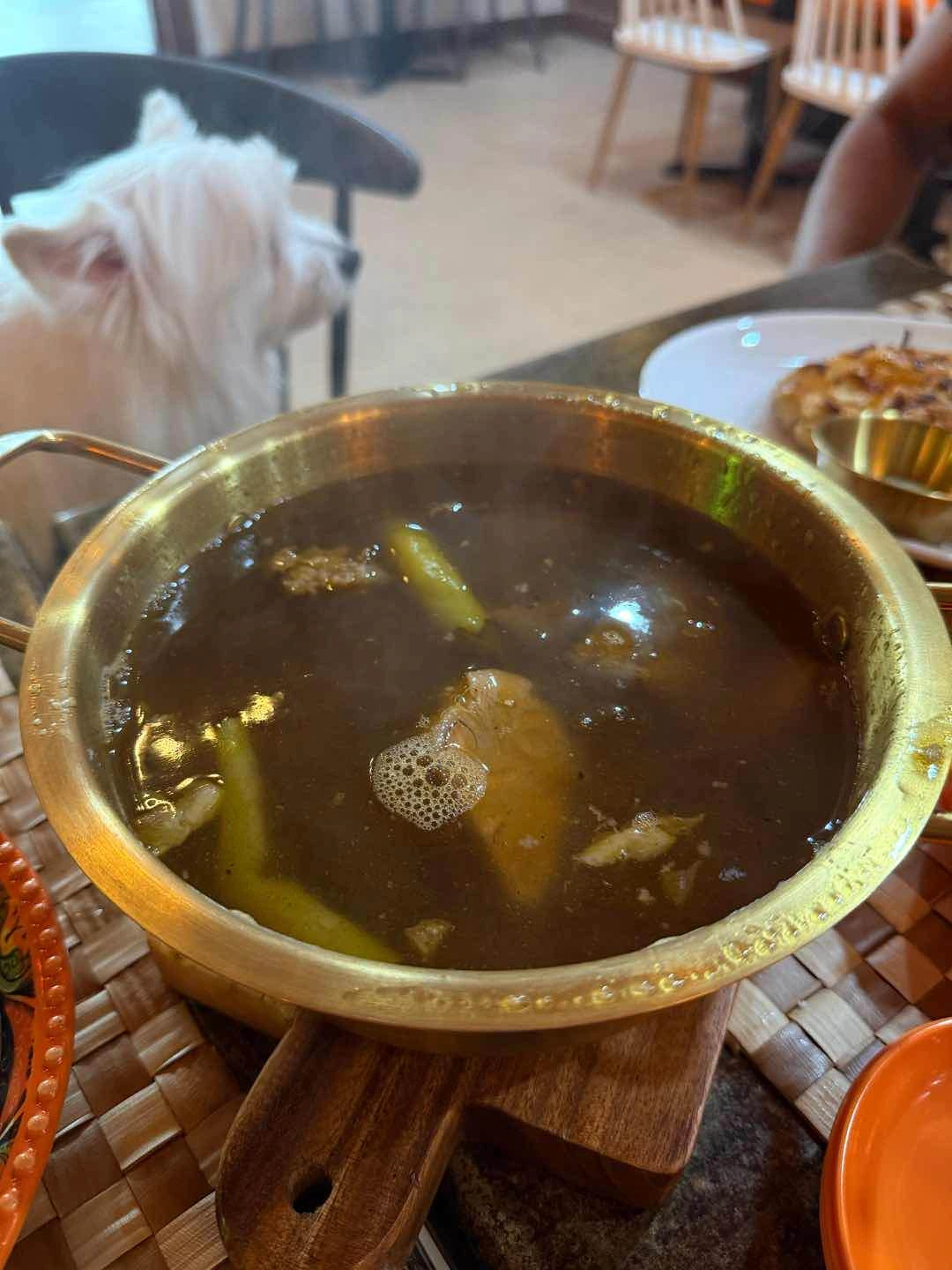 kansi