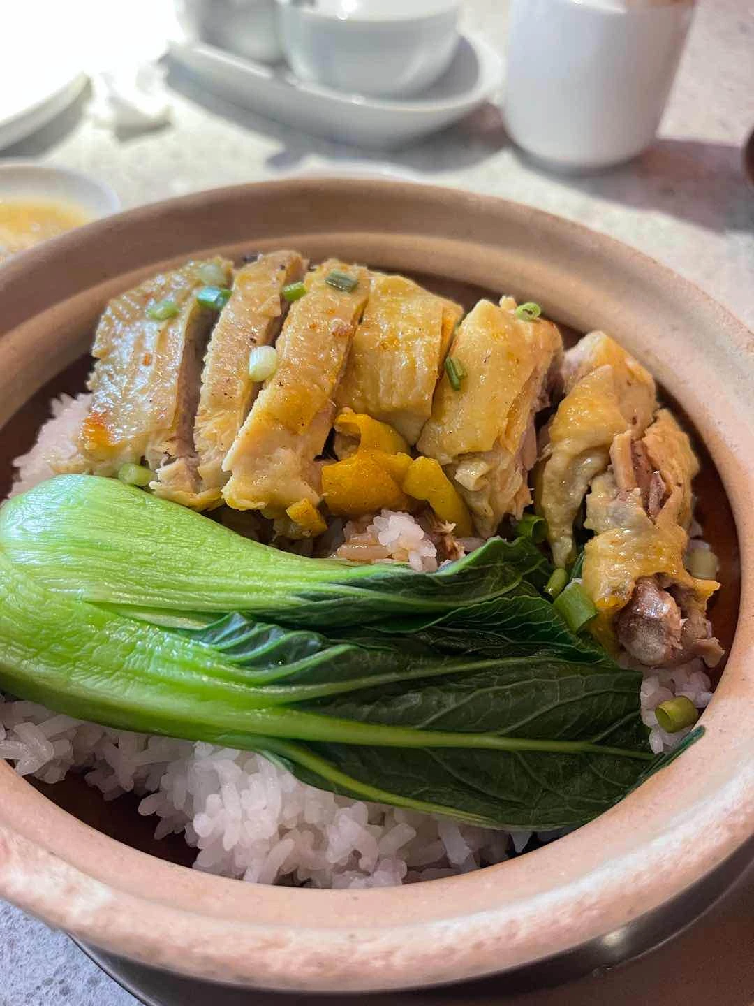 Steamed chicken w ginger scallion sauce