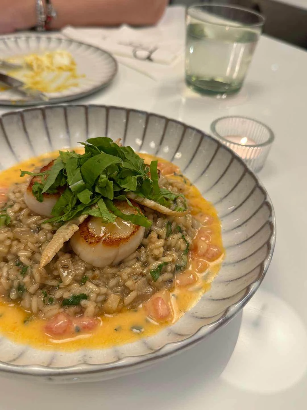 scallop risotto