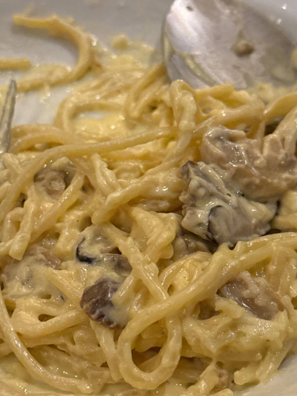 God-tier truffle pasta!!!