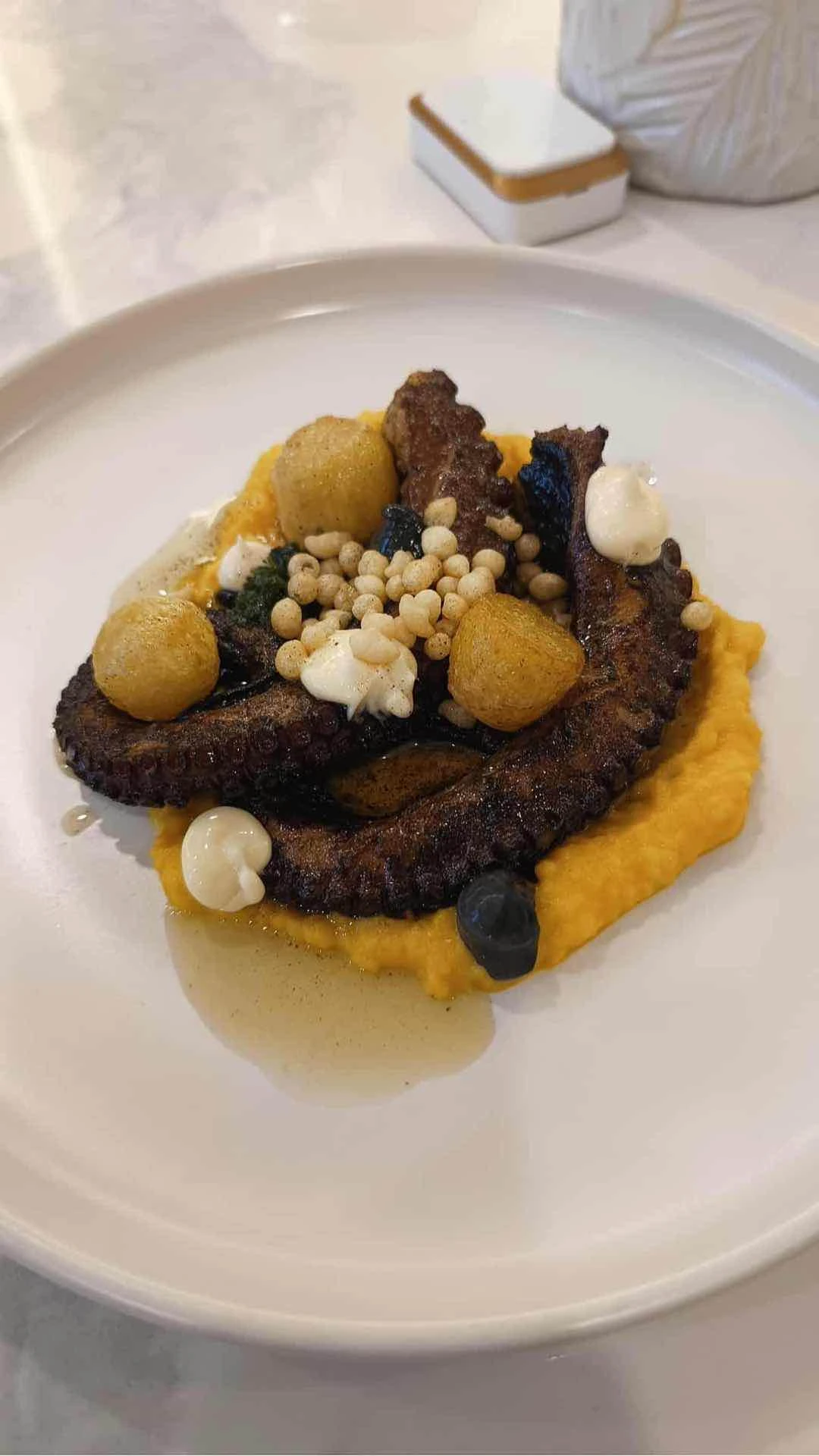 Octopus