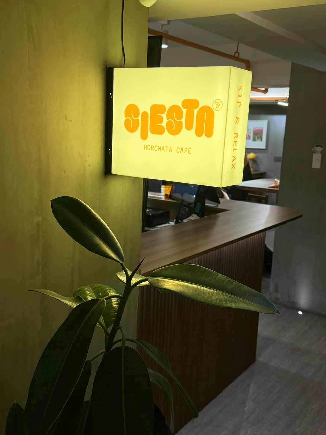 Ambiance of Siesta Horchata Cafe