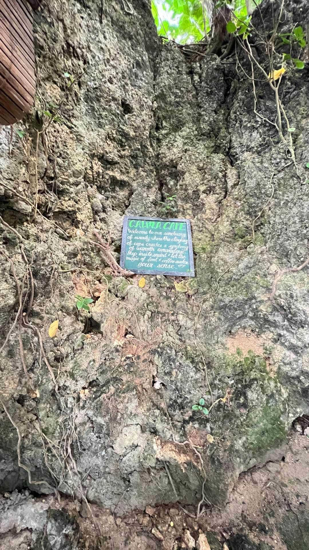 Ambiance of Calma Café & Restaurant