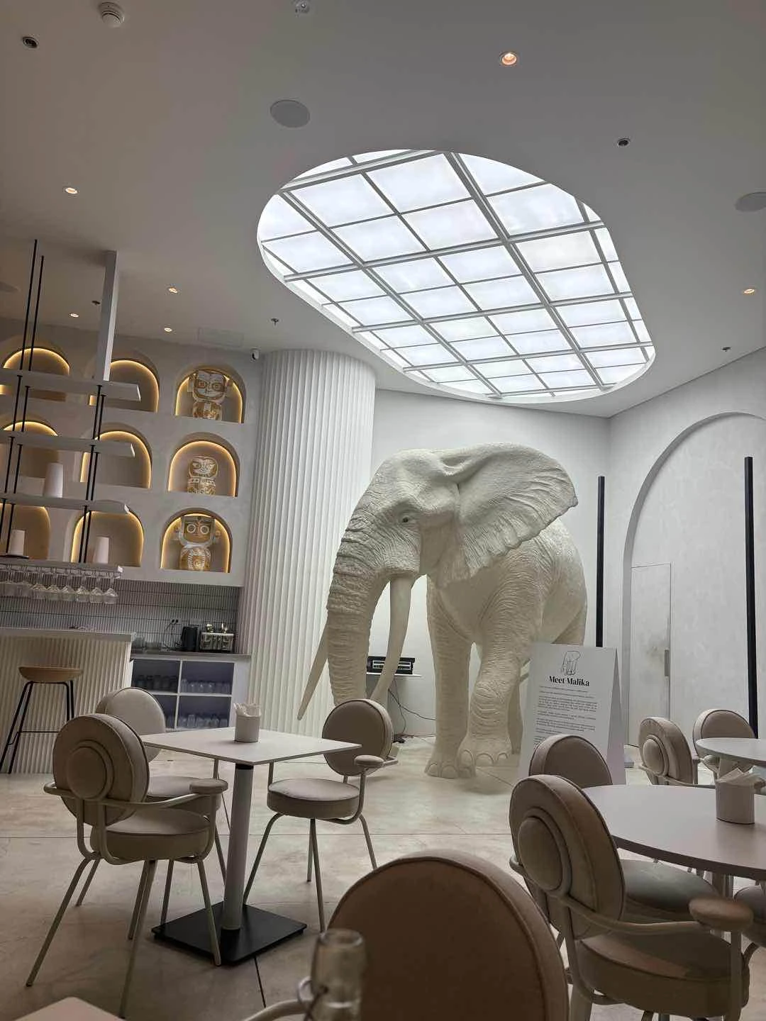 Ambiance of Cosmic Molito