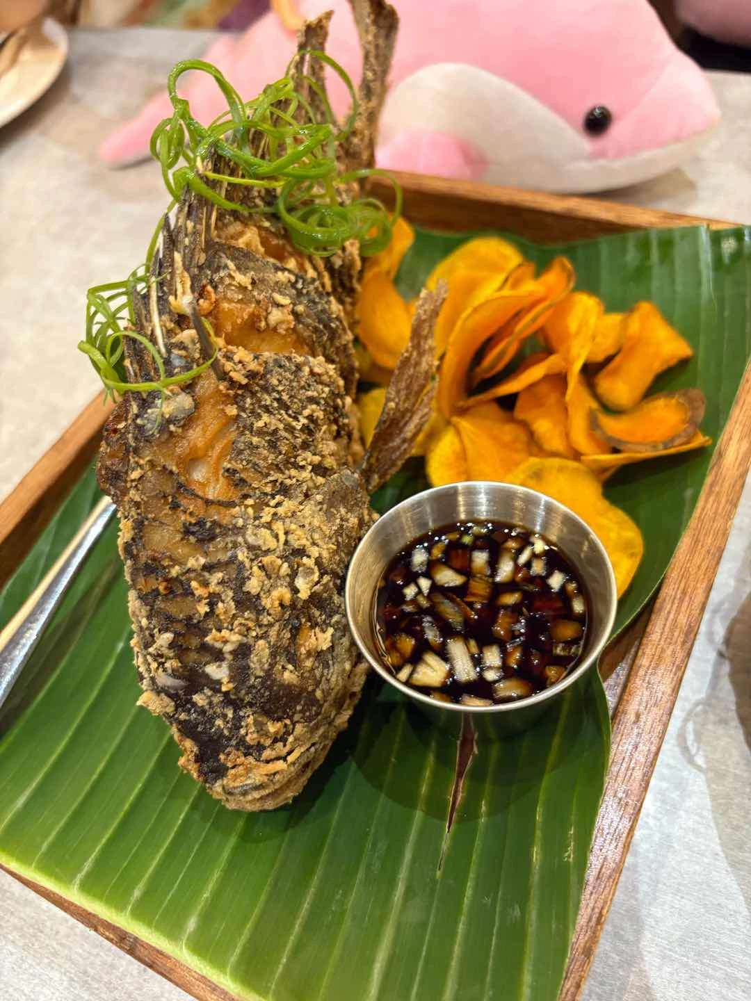 tilapia