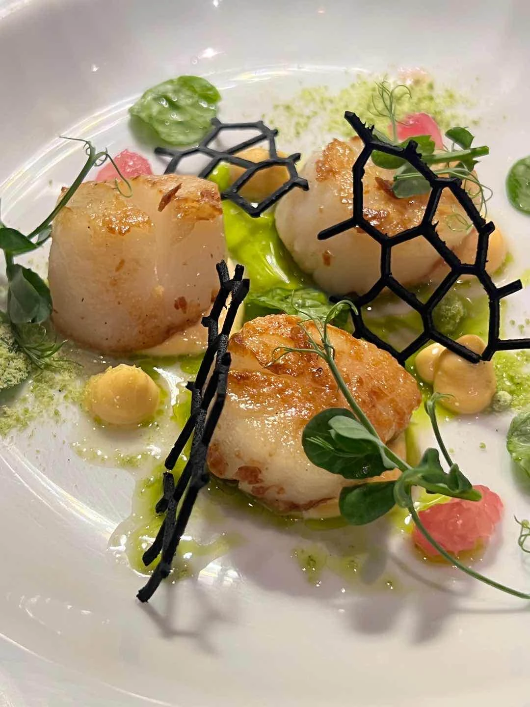 Scallops 