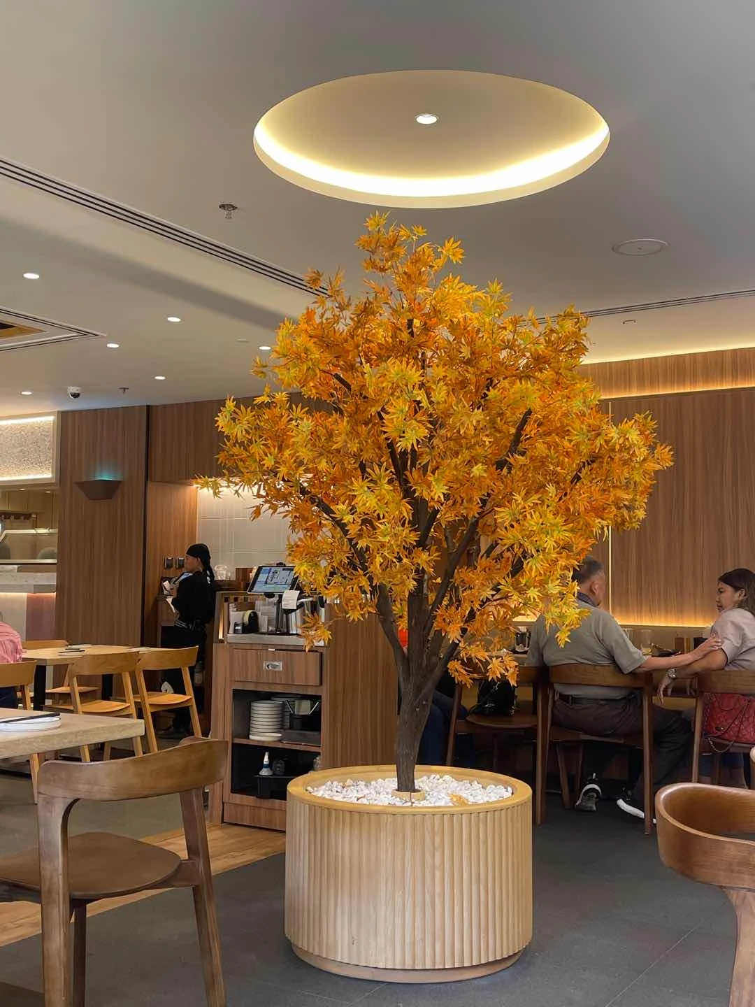 a tree