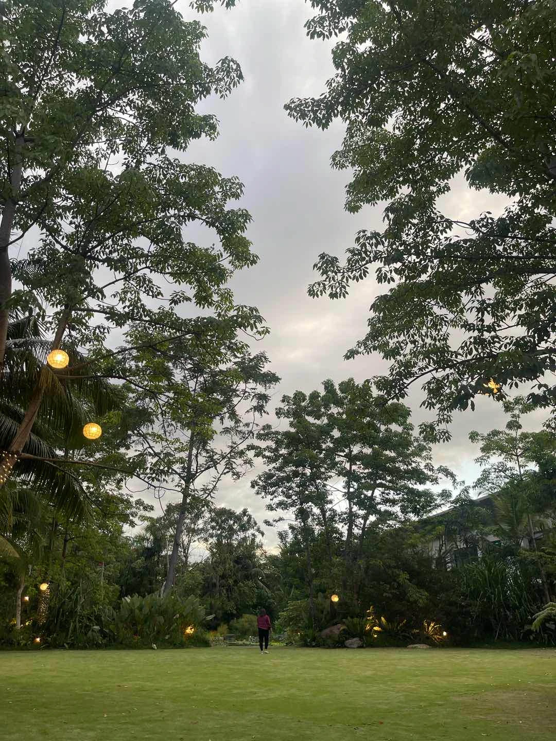 Review Photo of Sage by Ardesia