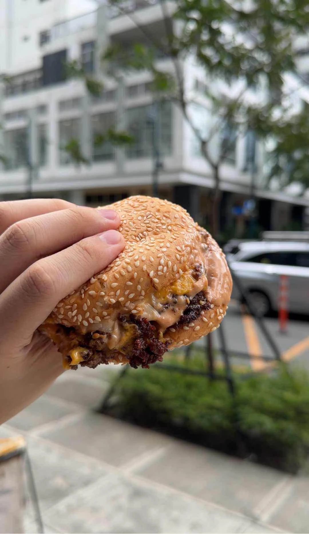 double smashed burger