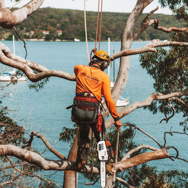 Eastern Tree Service