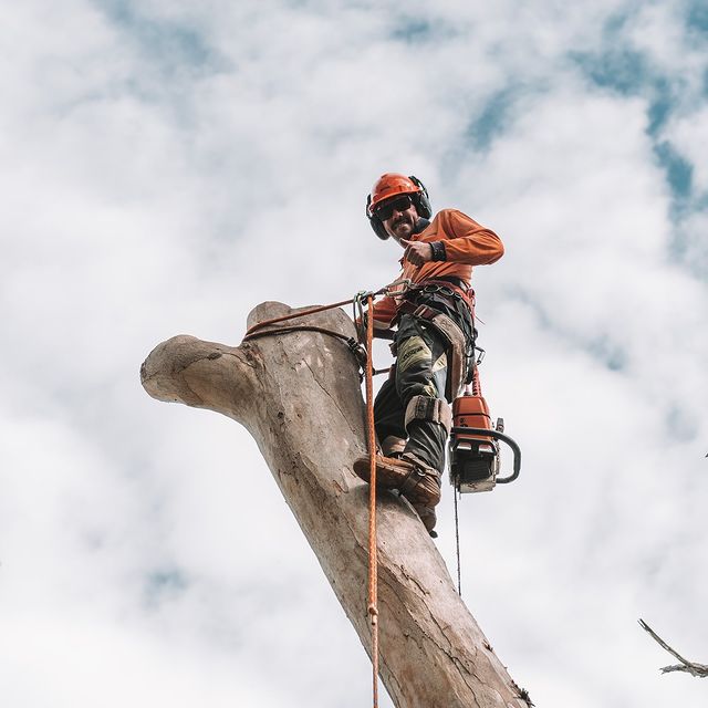 Eastern Tree Service