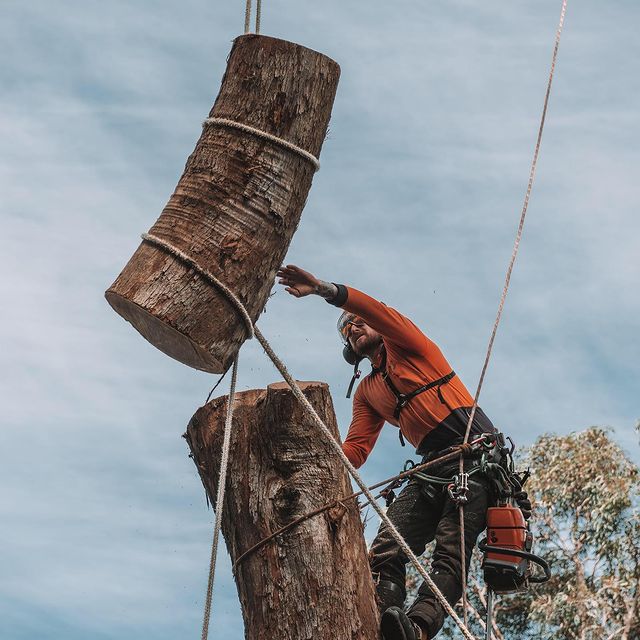 Eastern Tree Services