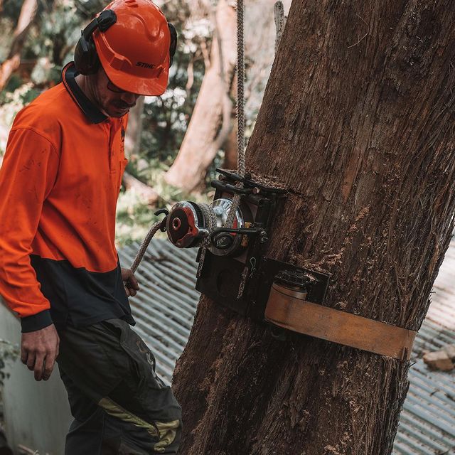 Eastern Suburbs Stump Grinding