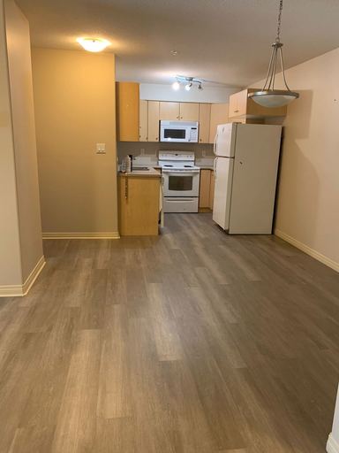 Photo of Lougheed Unfurnished Apartment RP Property Image