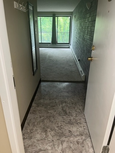 Photo of Studio Apartments - Oliver Area - Available Immediately Property Image