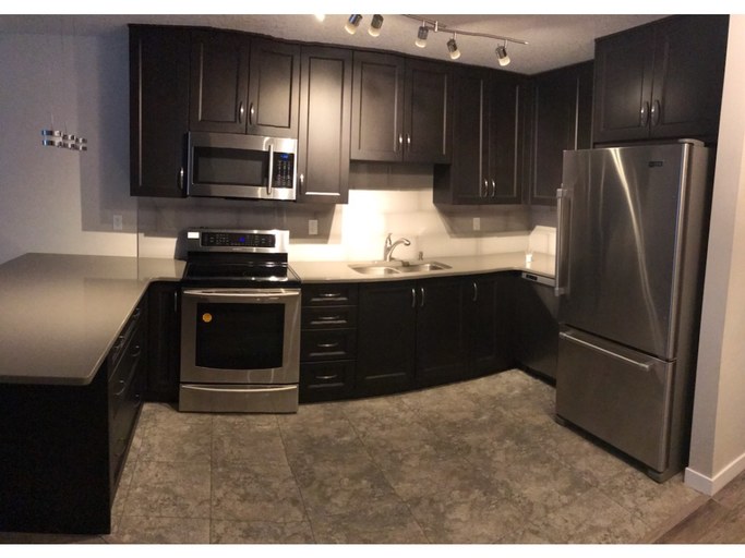 Photo of Beautiful Recently Renovated 1 Bedroom Condo ~ 208-732 57 Avenue SW, Calgary Property Image