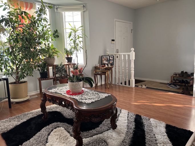 Photo of Cozy 3 bedroom house in Jackson Heights Edmonton Property Image