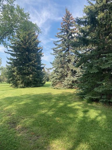 Photo of BEAUTIFUL RAVINE LOCATION! 7116-91 STREET EDMONTON Property Image