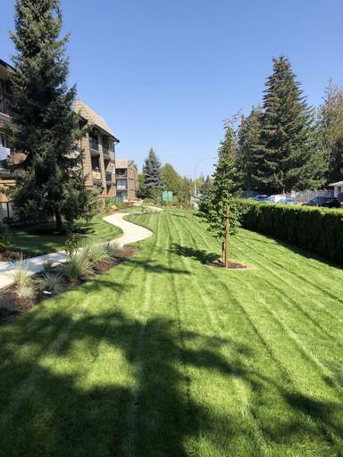 Photo of Cedar Green Apartments Property Image