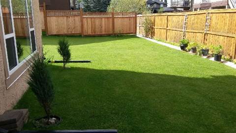 Photo of Lovely 1Bdr plus Study, Legal Walk Out Suite in Chestermere! Property Image