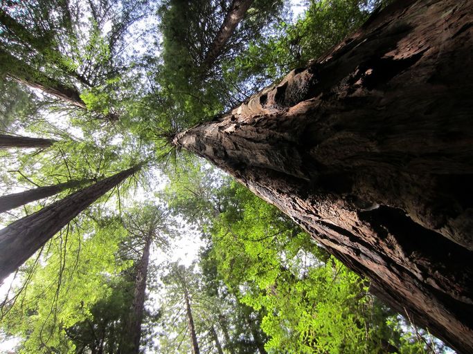 Photo of 1 BLOCK FROM THE RIVER VALLEY-FOR THE OUTDOOR ADVENTURE ENTHUSIAST Property Image