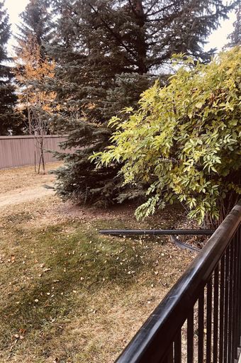 Photo of Executive Condo Property Image