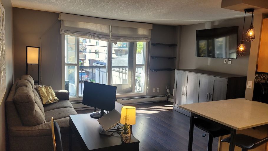 Photo of Fully Furnished 1 Bed, 1 Bath Downtown Apartment Property Image