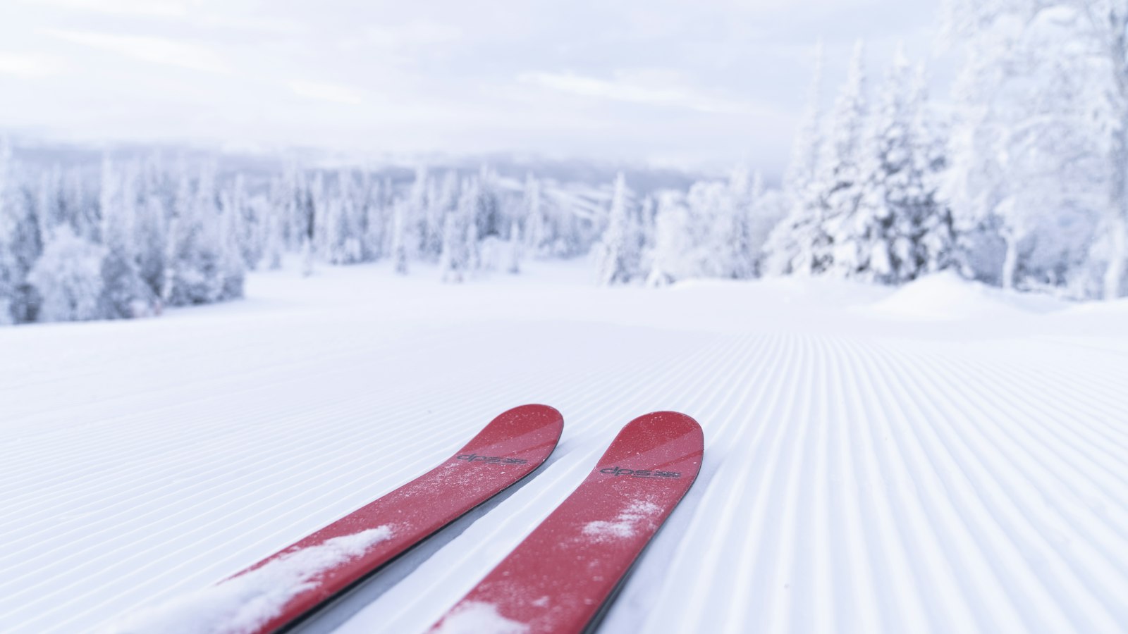Voksen skipakke – ski, støvler, hjelm og stave