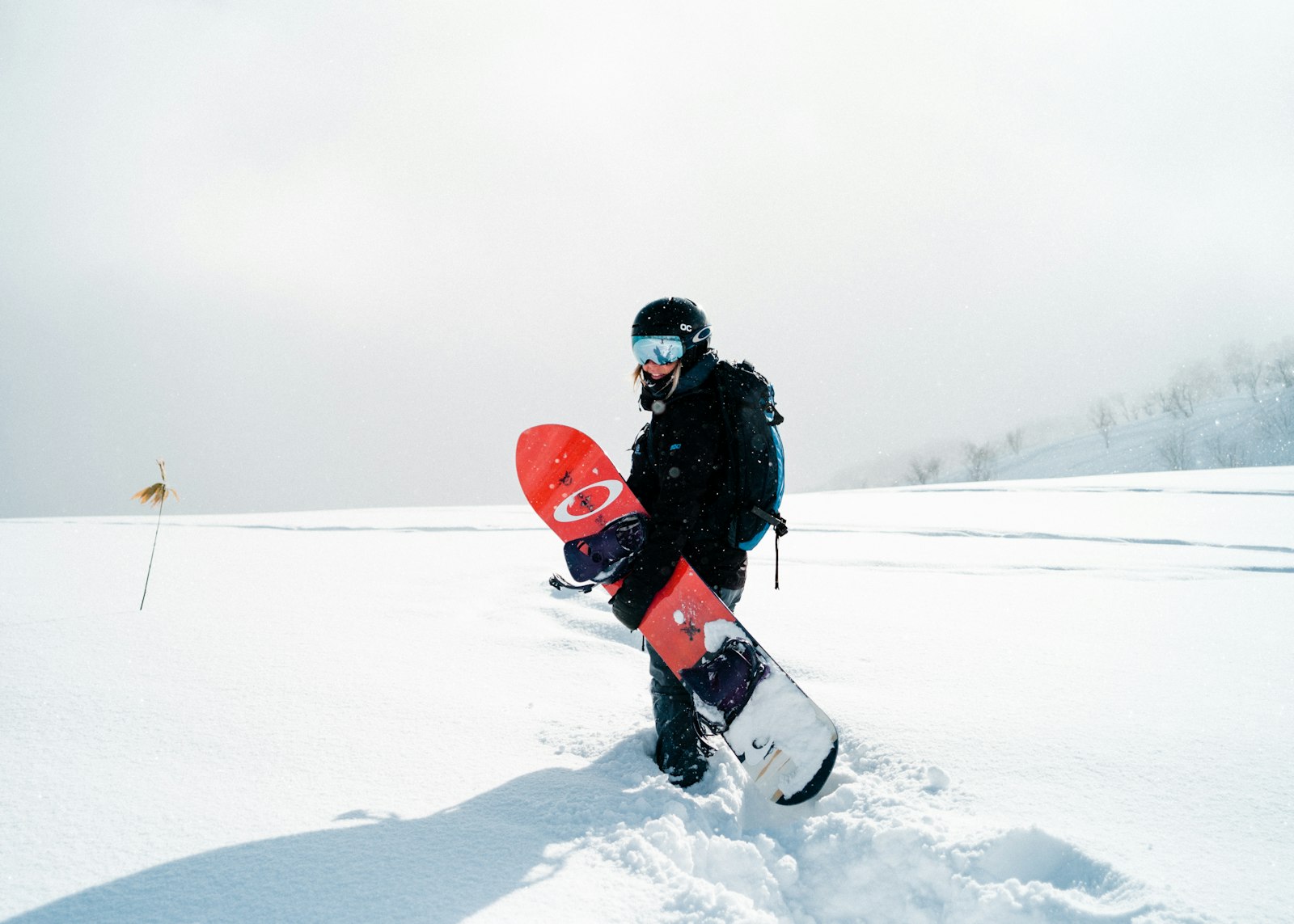 Voksen snowboardpakke – board, støvler og hjelm