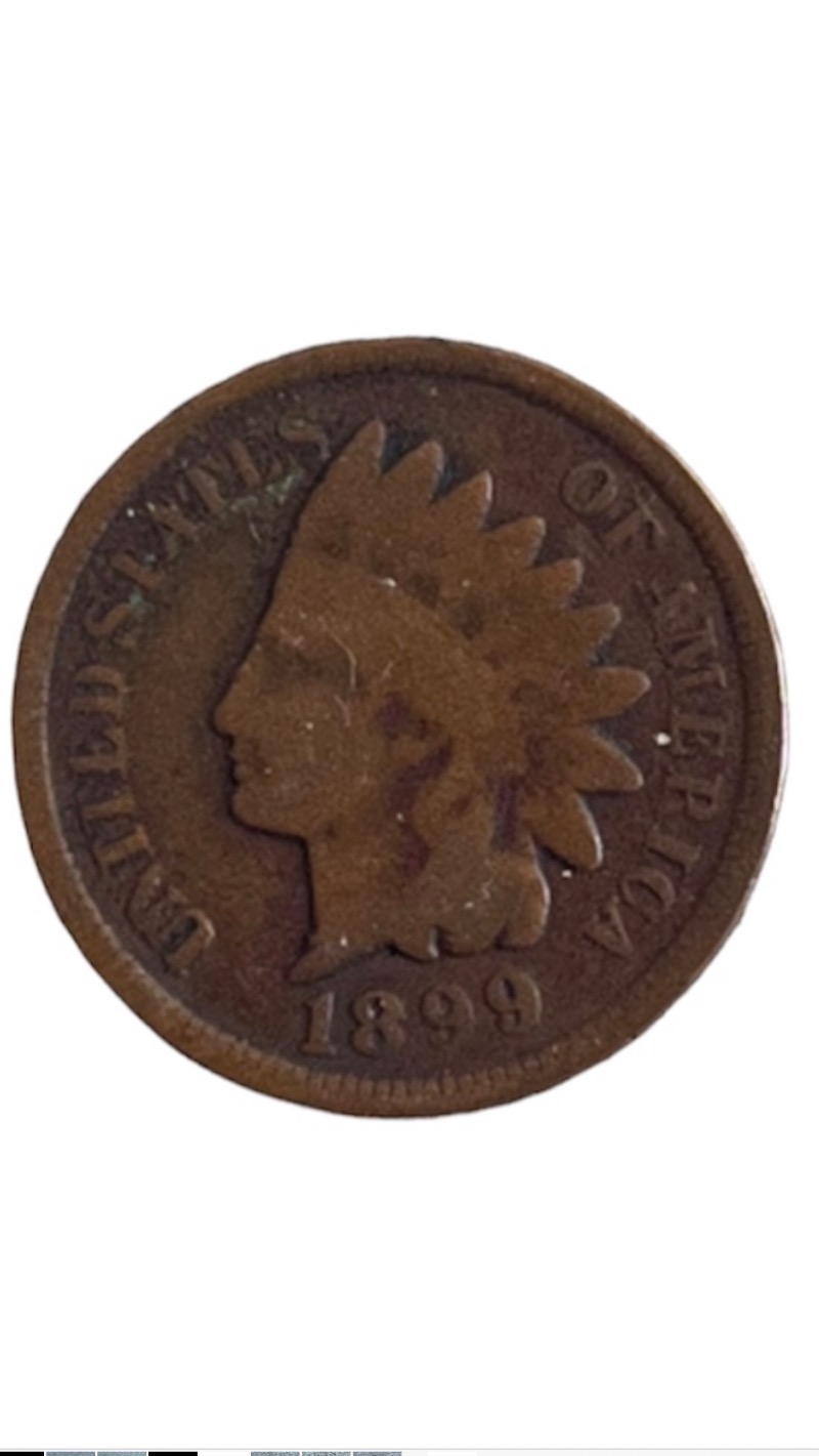 1899 Indian Head Cent Rare Collectible Coin