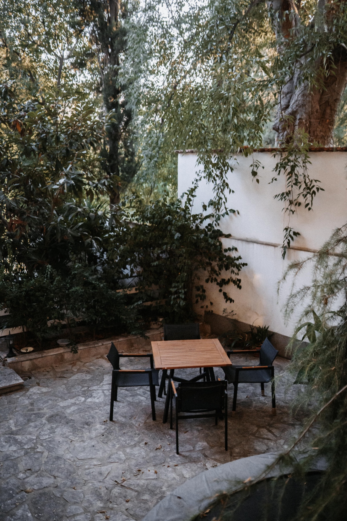 Old Town Oasis 1