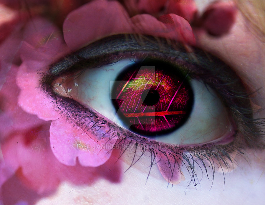 Replit profile picture for @Nic