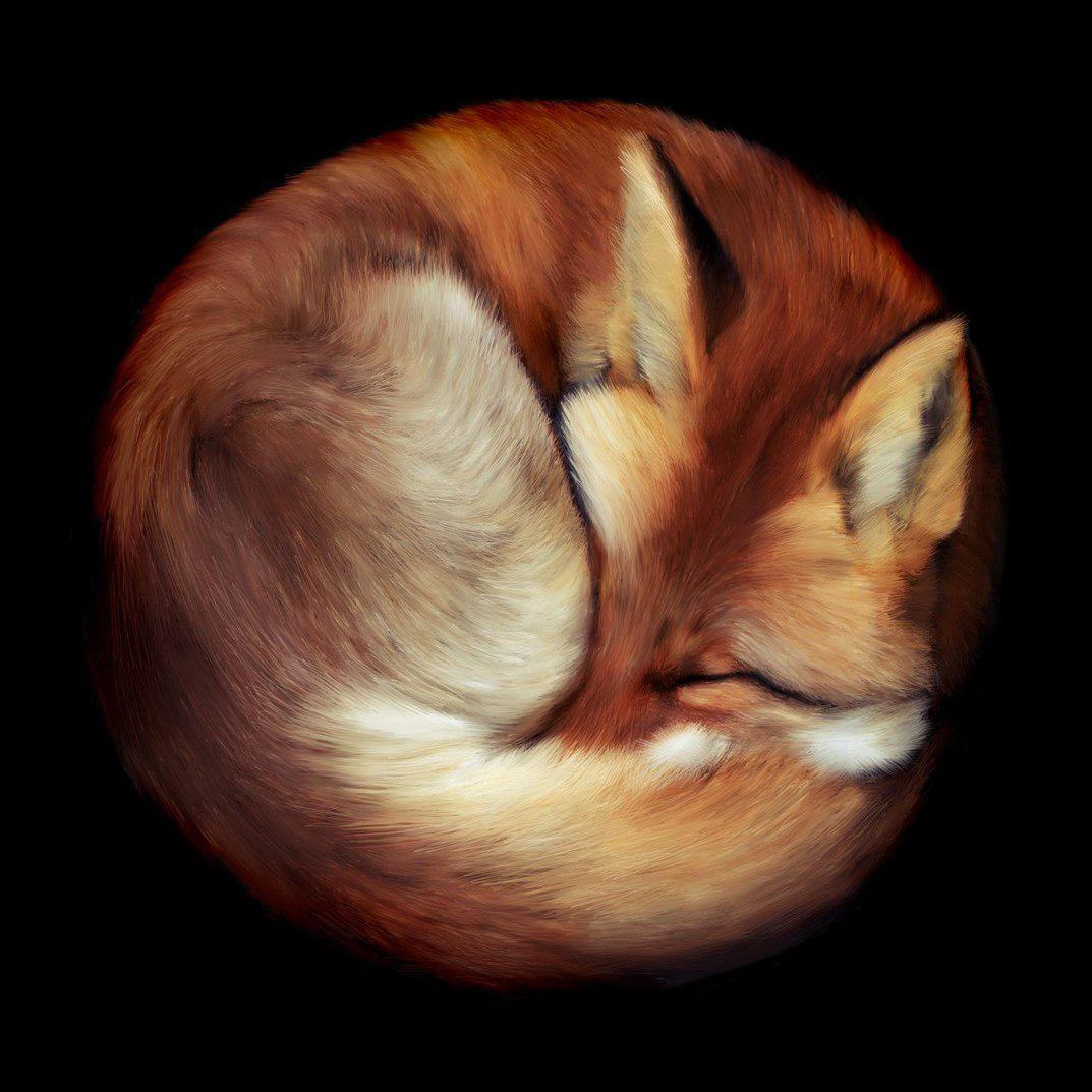 Replit profile picture for @Left