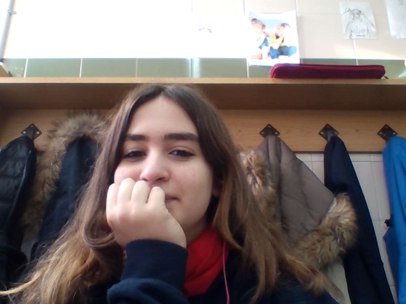 Replit profile picture for @josefina