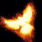 Replit profile picture for @Xeon