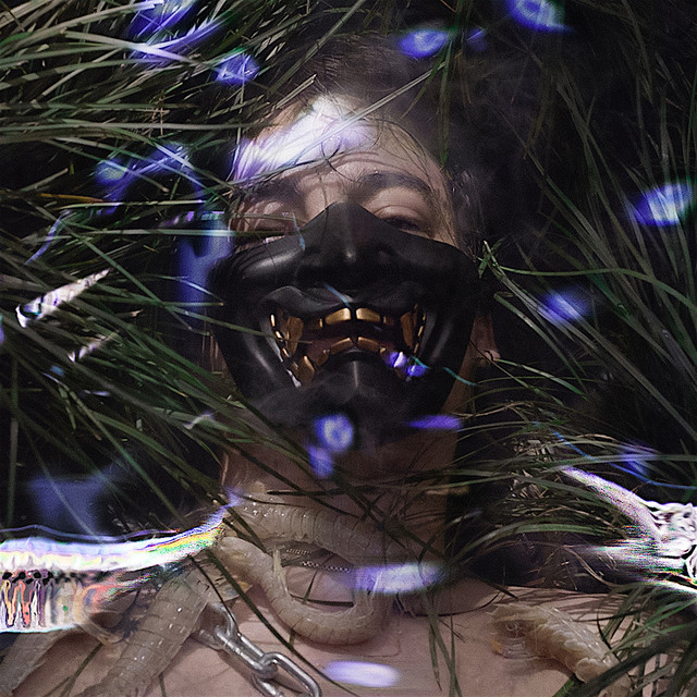 Replit profile picture for @Vessel
