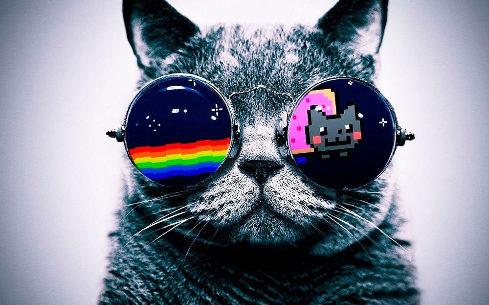 Replit profile picture for @gela