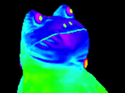 Replit profile picture for @Contradiction
