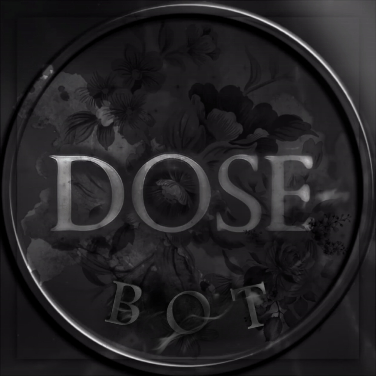 Replit profile picture for @dose