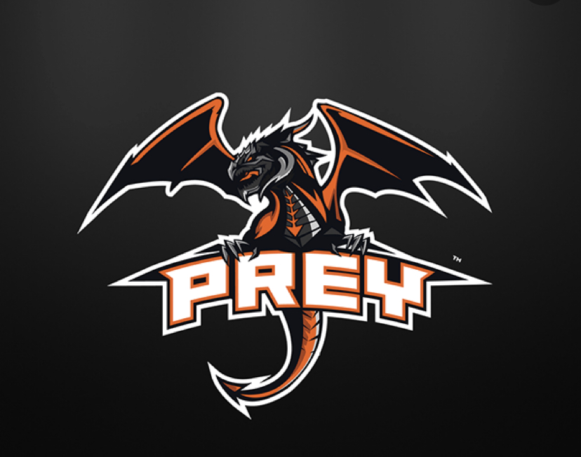 Replit profile picture for @Prey
