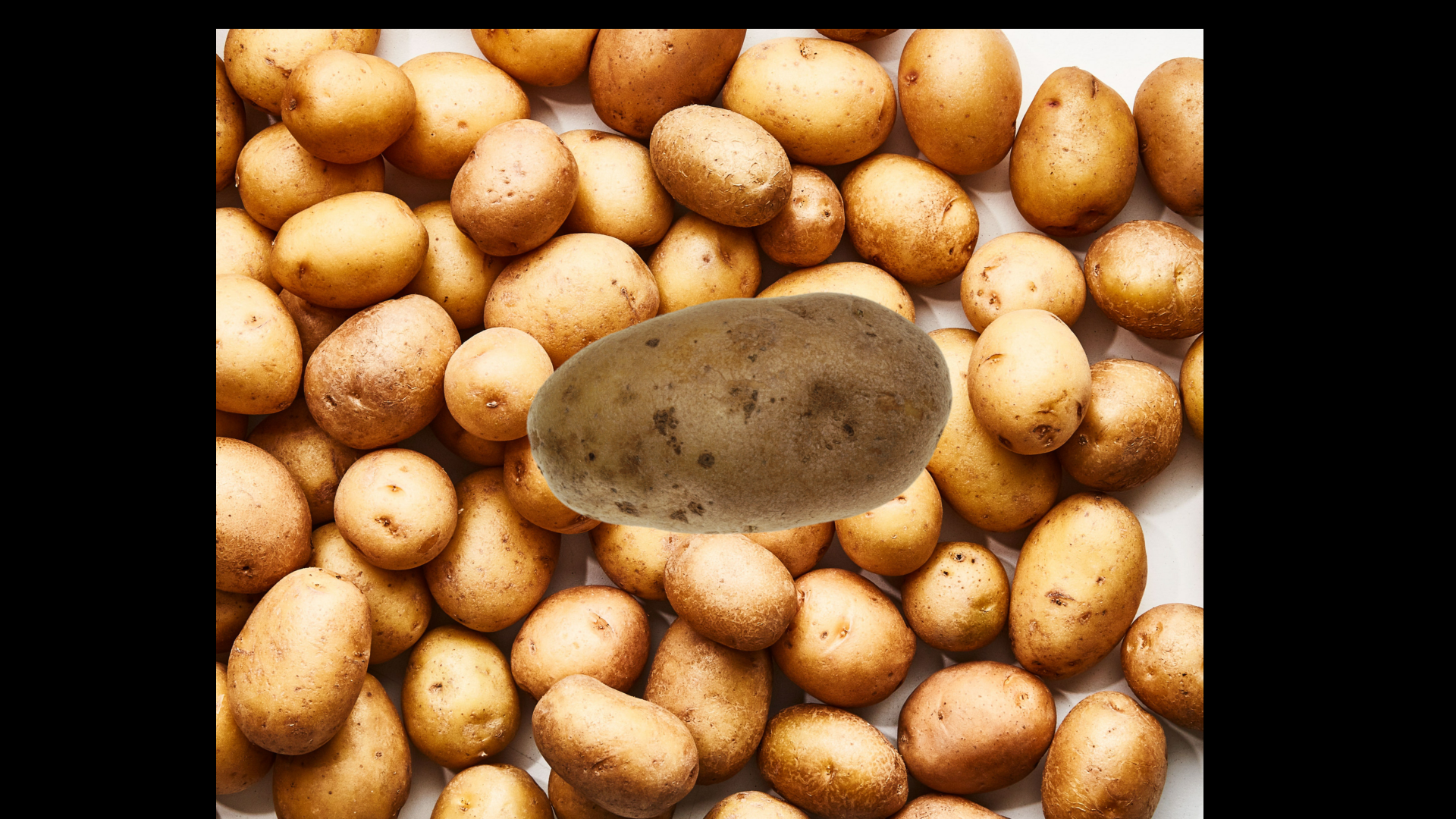 PotatoGUN (Lord Potato) - Replit