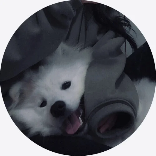 Replit profile picture for @fur