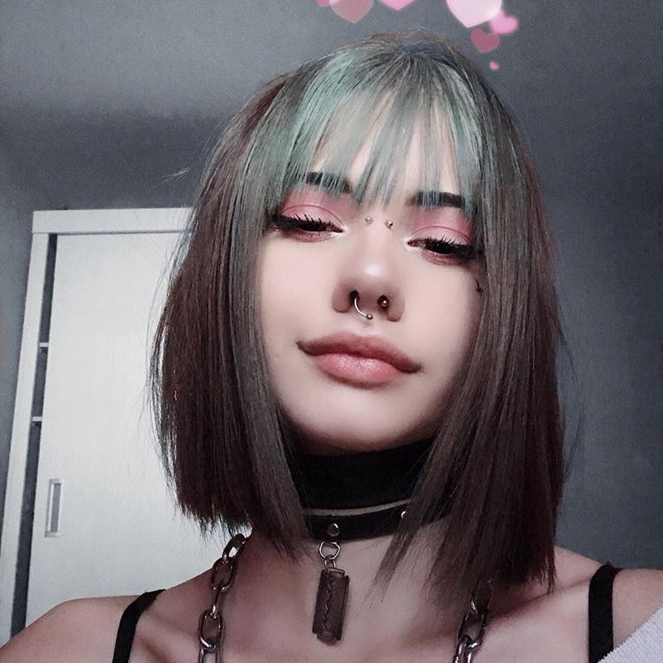 Replit profile picture for @Festival