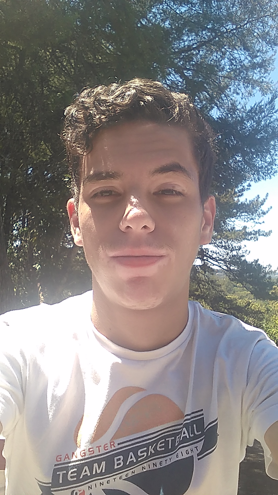 Replit profile picture for @guido