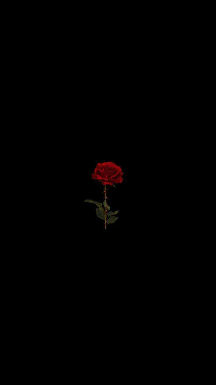 Replit profile picture for @palp