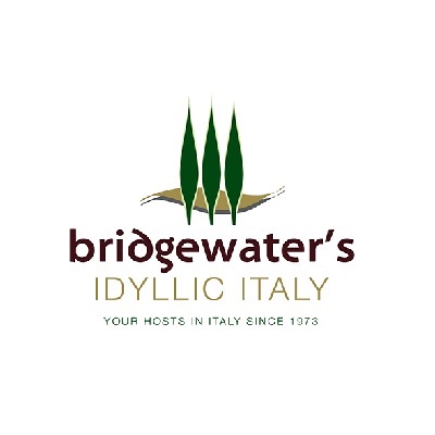 Replit profile picture for @bridgewater