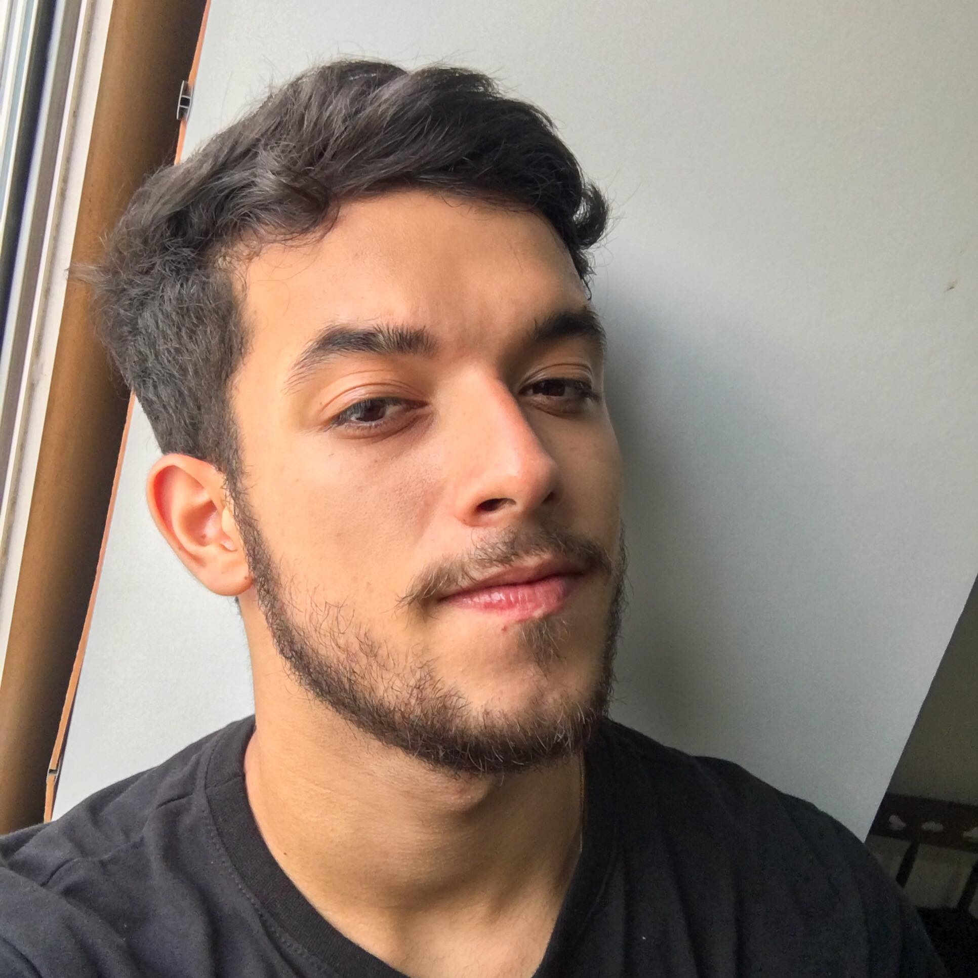 Replit profile picture for @Protestant